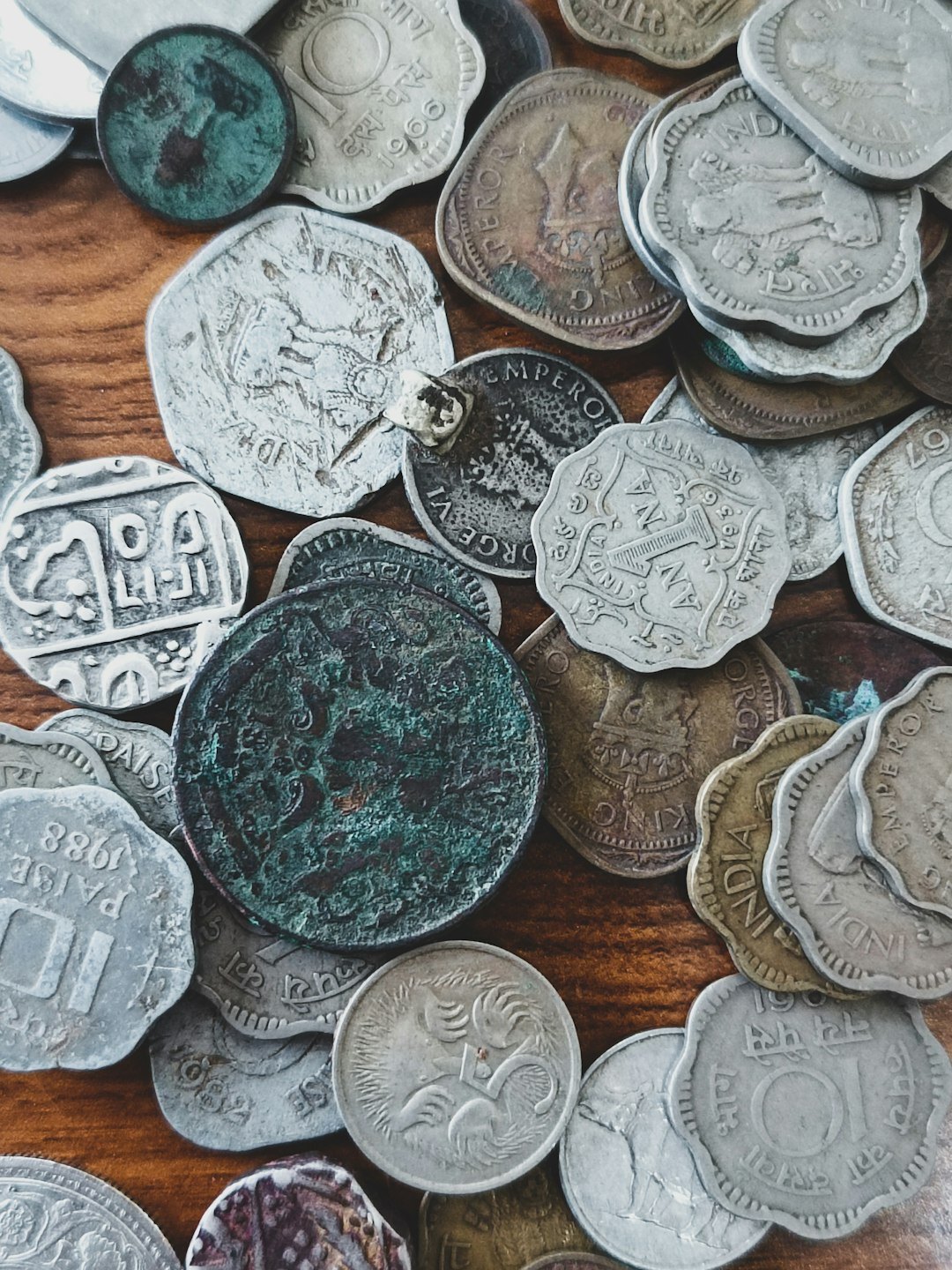 coin collector examining rare coins