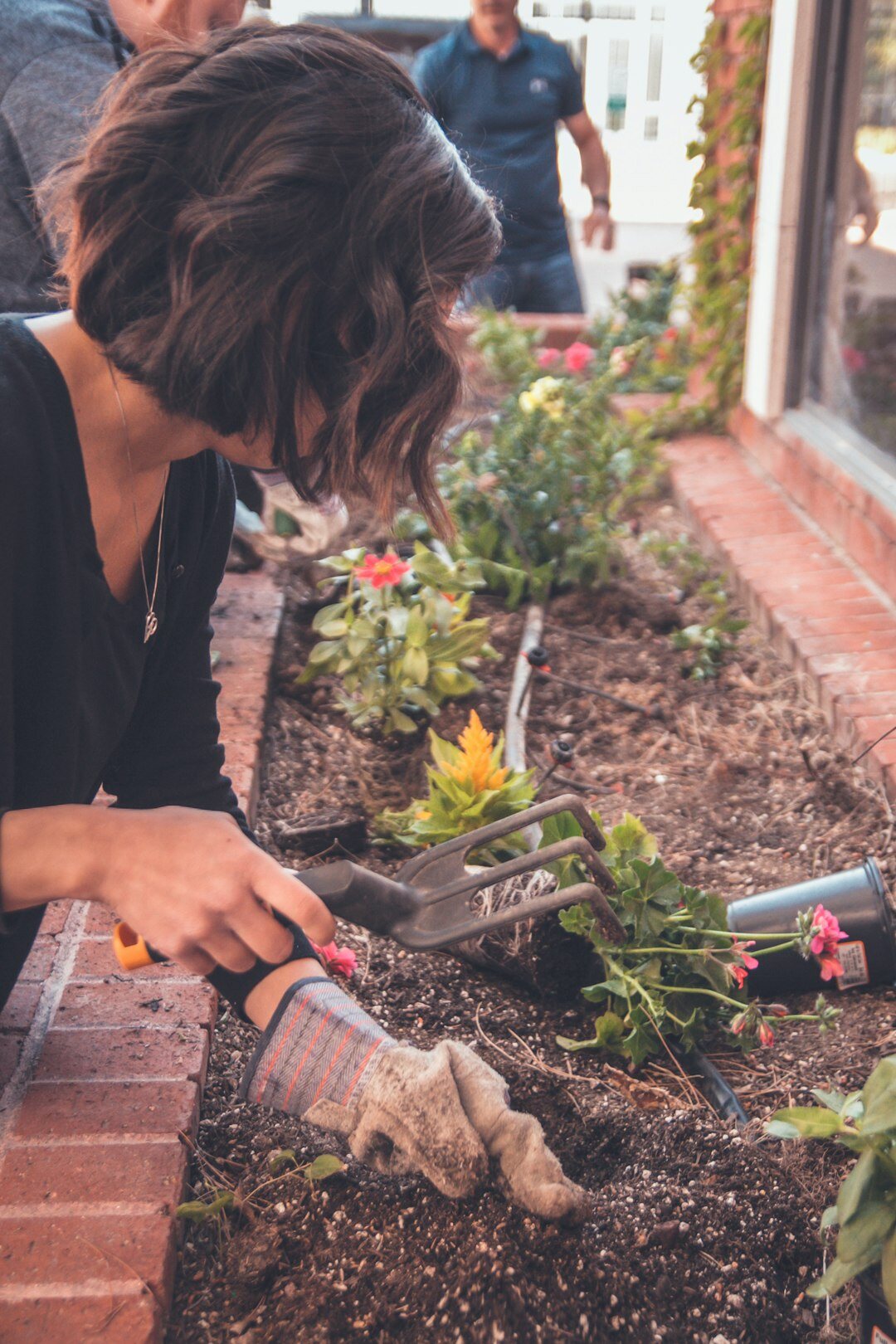 hands gardening plants